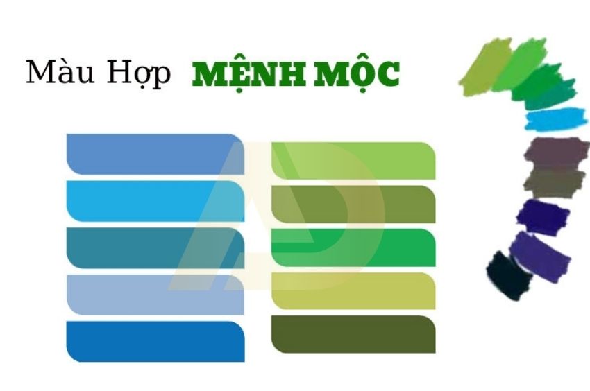 Màu sắc mệnh  Mộc