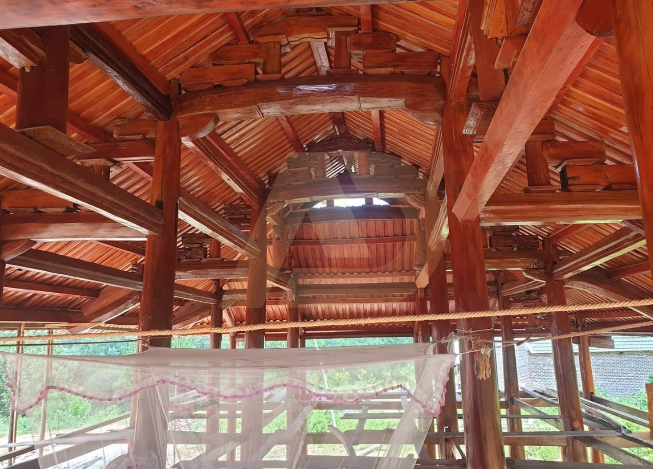mẫu 11