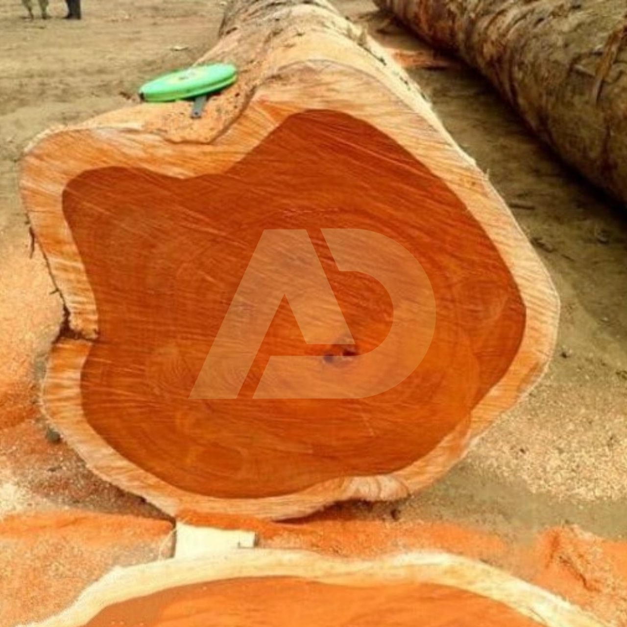 mẫu 4