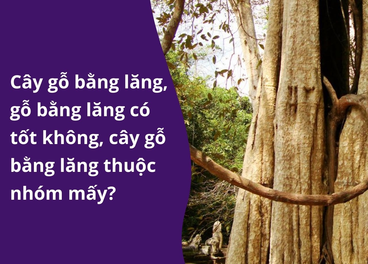 mẫu 1