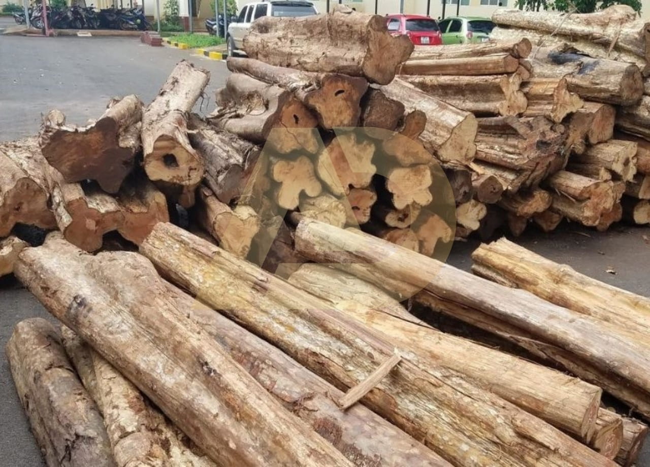 mẫu 3