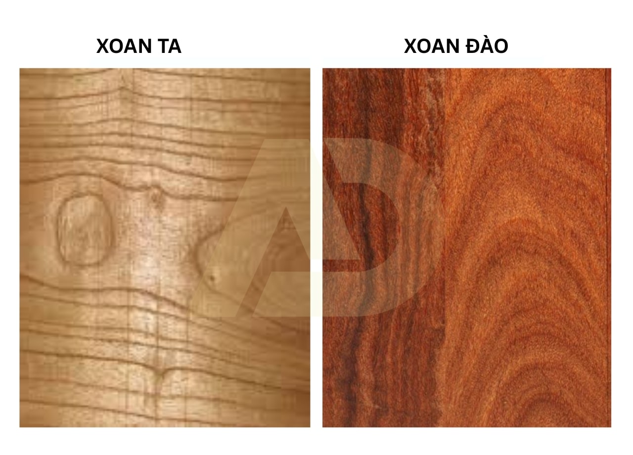 mẫu 5