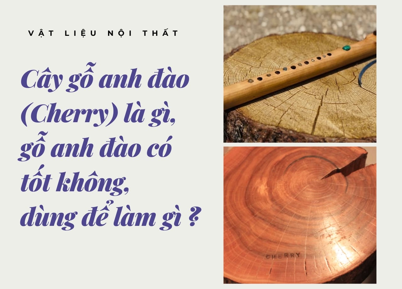 mẫu 1