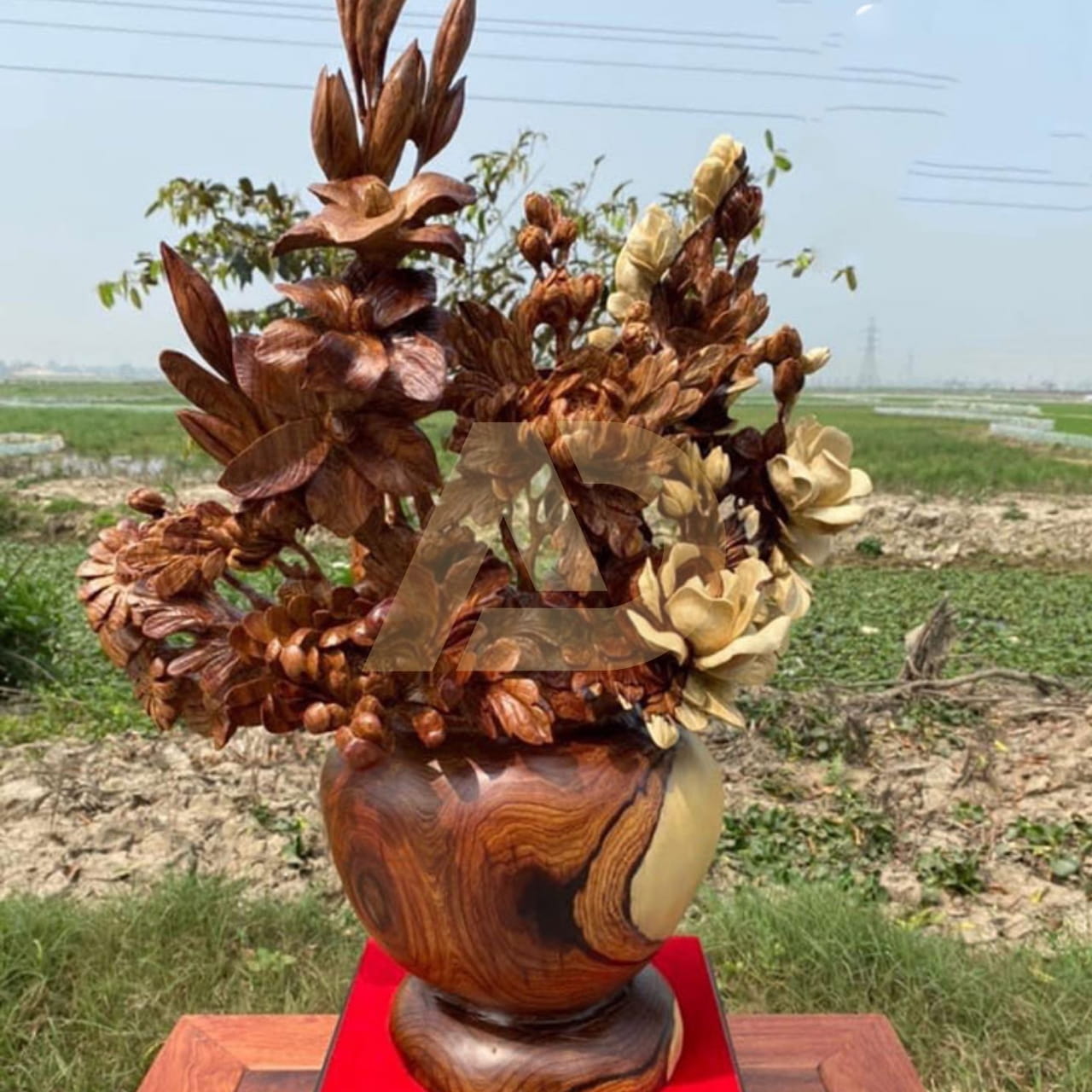 mẫu 20