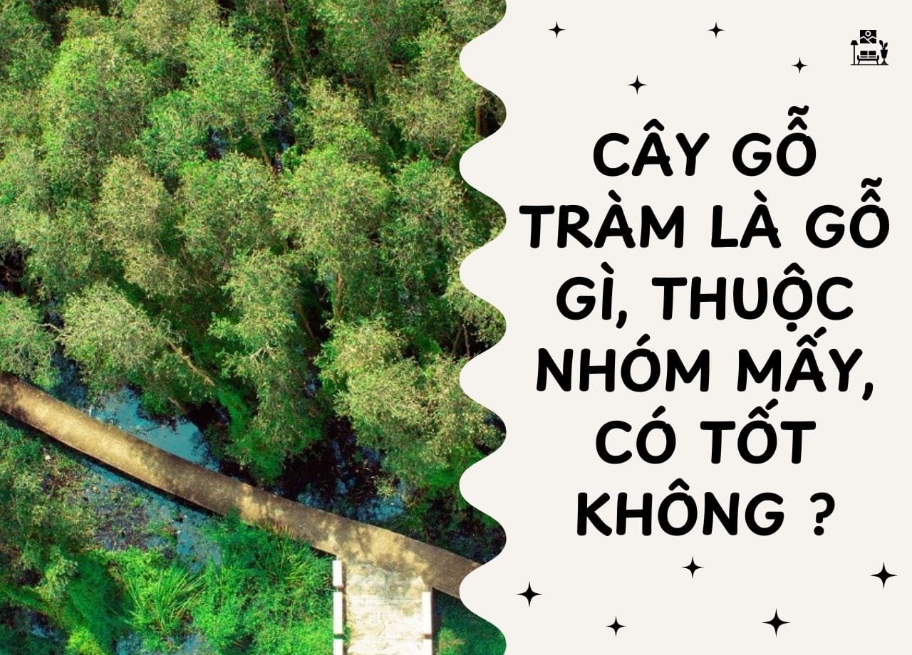 mẫu 1