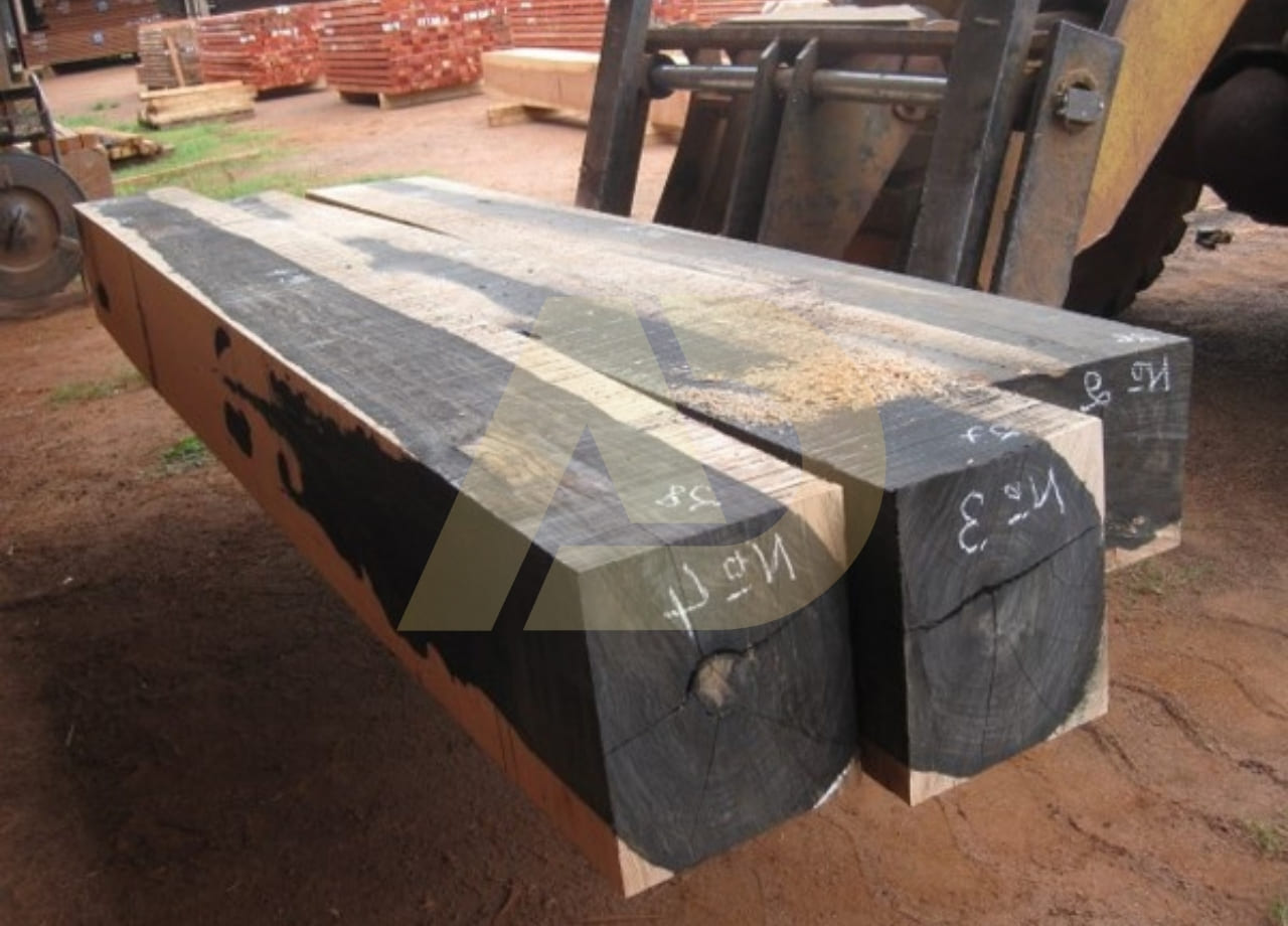 mẫu 10