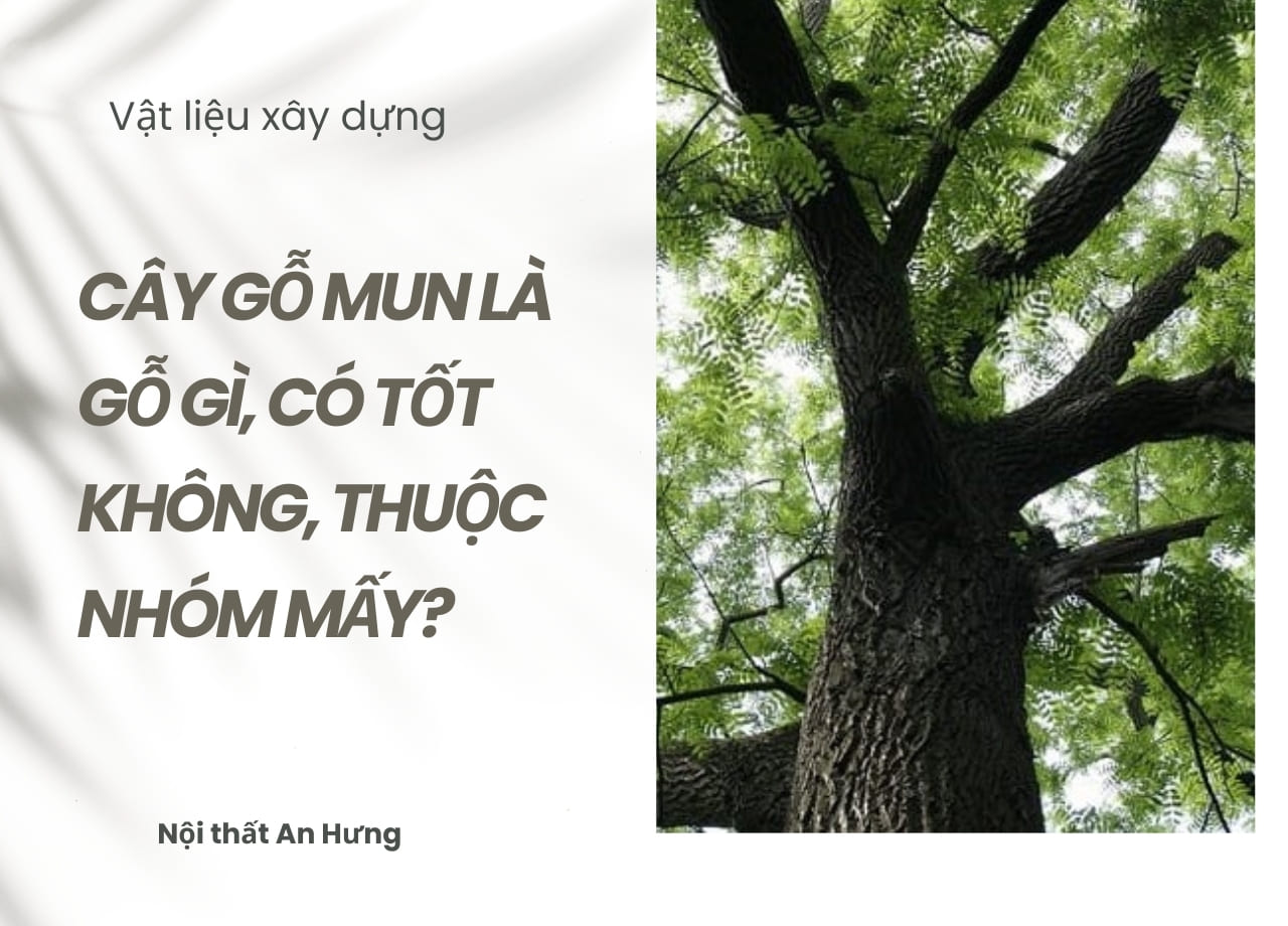 mẫu 1