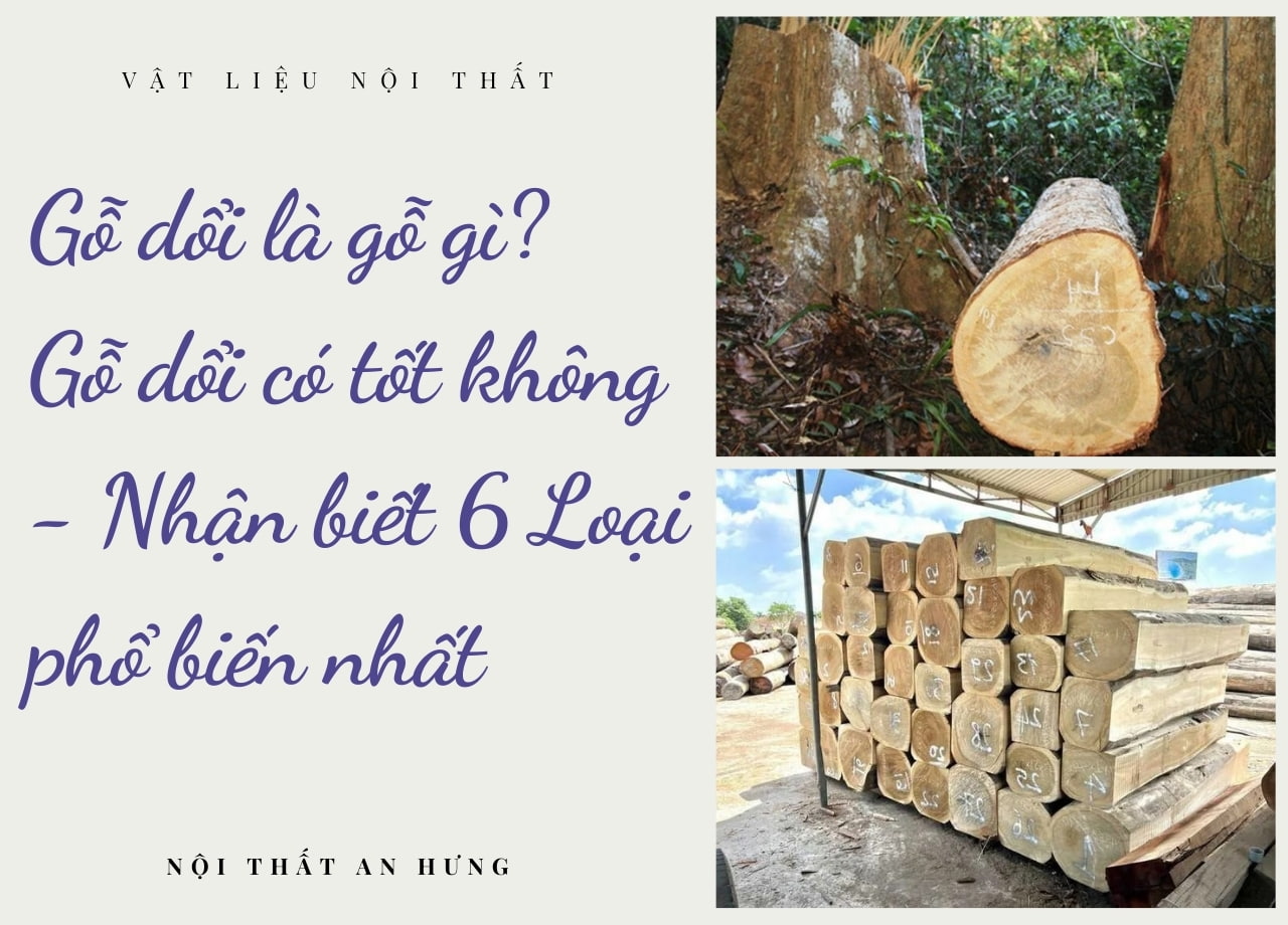 mẫu 1
