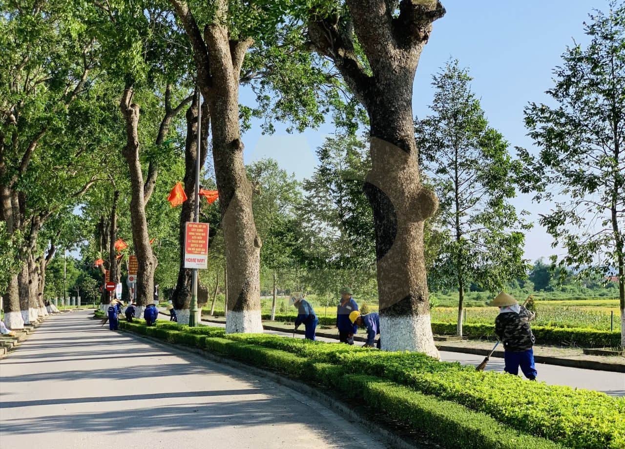mẫu 23