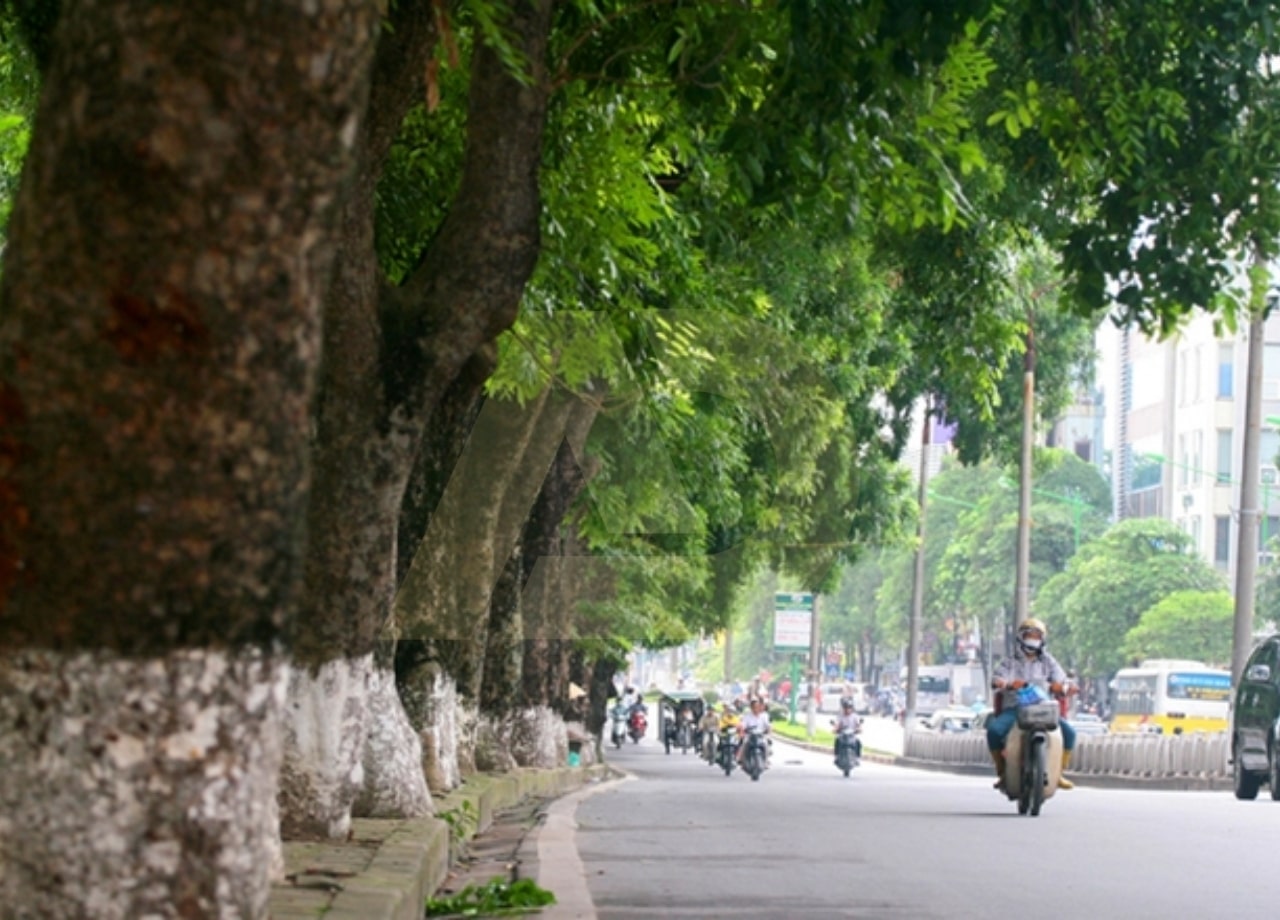 mẫu 3